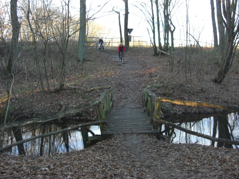 2010 1212 Crosstour 075